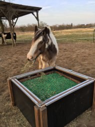 Hayrack Net by the m² (Made to Measure), Green | Safetynet365