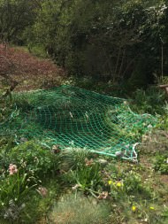 Pond Covering Net by the m² (Custom-Made) | Safetynet365