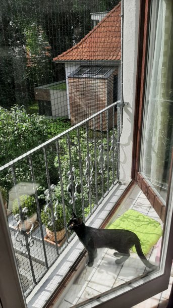 Katzenschutznetz per m (nach Ma) | Schutznetze24