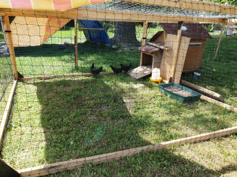 Thomas Tabbert  -  5/31/2026