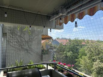 C. Fröhlich  -  5/25/2026