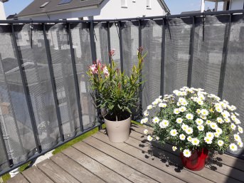 Schattiernetz 50 % nach Ma bestellen | Schutznetze24