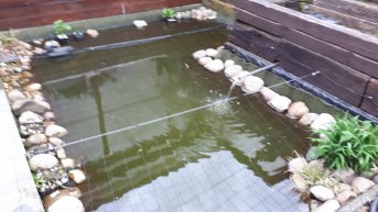 Teichnetz zur Reiherabwehr per m, schwarz | Schutznetze24