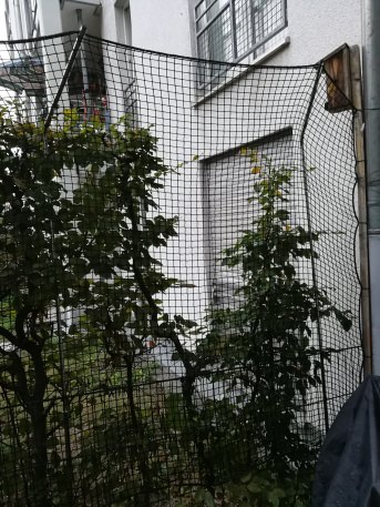 Katzenschutznetz nach Ma - Extra stark | Schutznetze24