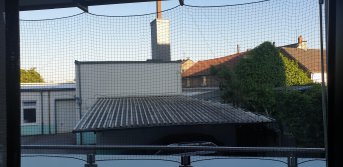 Katzenschutznetz per m (nach Ma) | Schutznetze24