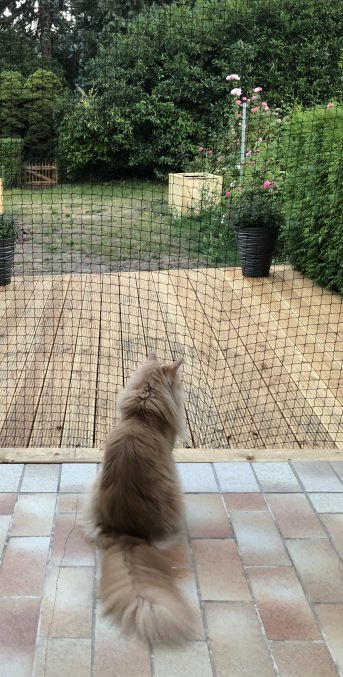 Katzennetz per m (nach Ma) | Schutznetze24