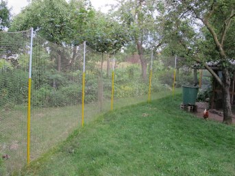 Vogelnetz mit Abschlusskante per m (nach Ma) | Schutznetze24