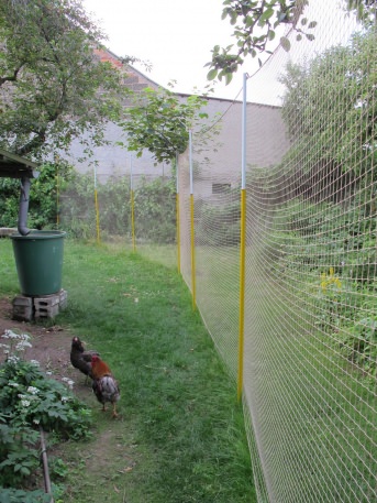 Vogelnetz mit Abschlusskante per m² (nach Maß) | Schutznetze24