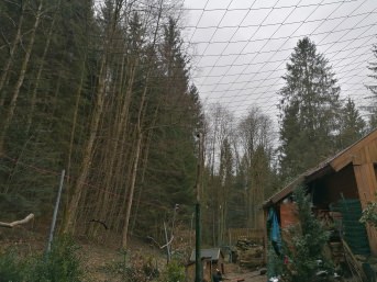 Reiher-Schutznetz per m (nach Ma), schwarz | Schutznetze24