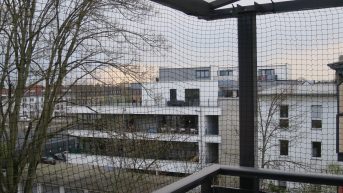 Katzenschutznetz per m (nach Ma) | Schutznetze24