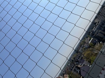 Sicherheitsnetz per m (nach Ma) 1,0/50 mm | Schutznetze24