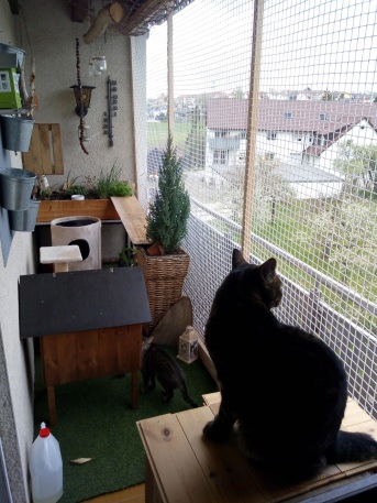 Katzenschutznetz nach Ma - Extra stark | Schutznetze24