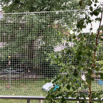 Katzenschutznetz per m (nach Ma) | Schutznetze24