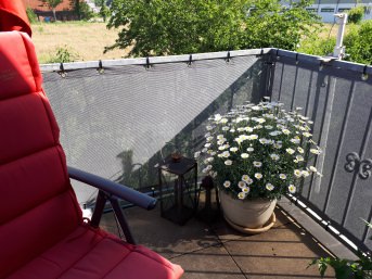 Kabelbinder 7,8 x 300 mm | Schutznetze24