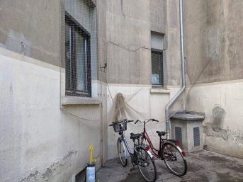 Vogelnetz mit Abschlusskante per m (nach Ma) | Schutznetze24