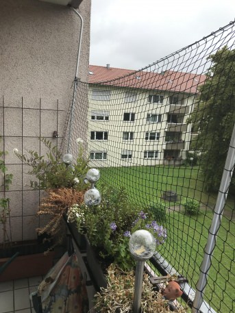 Katzennetz per m (nach Ma) | Schutznetze24